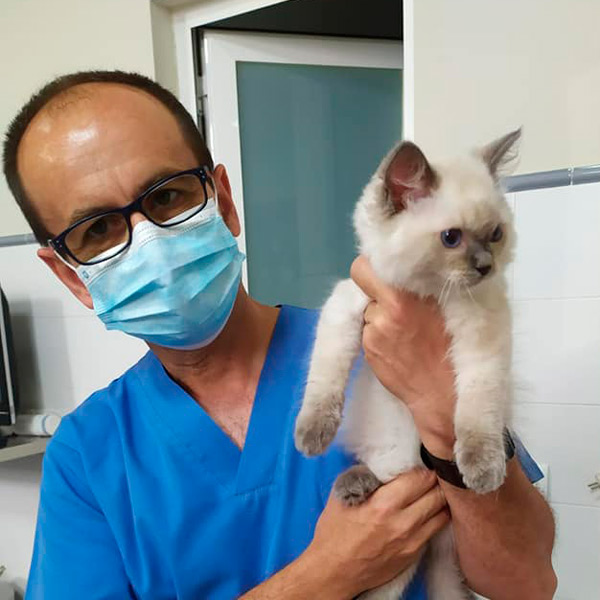Antonio en clínica veterinaria Cruz Verde en Morón de la Frontera