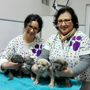 Cruz Verde centro veterinario en Morón de la Frontera veterinarias