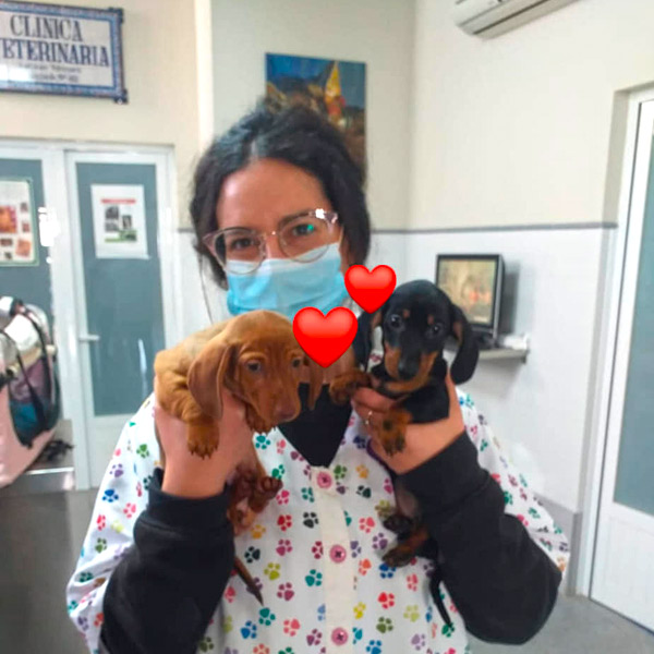 Mónica en clínica veterinaria Cruz Verde en Morón de la Frontera